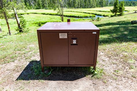 bear picnic metal boxes yellowstone|bears in Yellowstone national park.